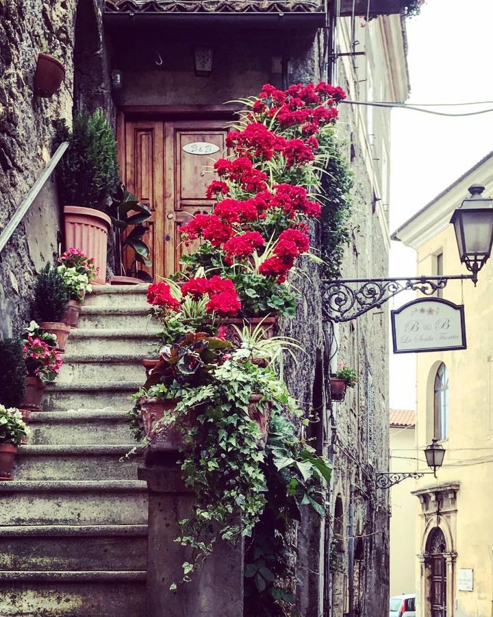 Bed and Breakfast La Scala Fiorita Ананьї Екстер'єр фото